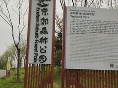 -东郊湿地公园