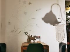 -No Cat 手碟