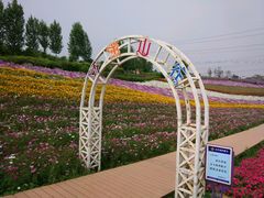 -紫颐香薰山谷景区