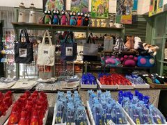 -猫咪博物馆(顶澳仔猫街店)