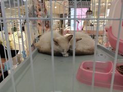 -凯德广场(学府店)