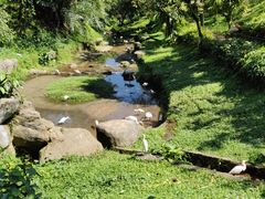 -吉隆坡雀鸟公园
