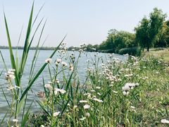 -如皋市龙游湖欢乐世界