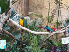 -杭州开元森泊度假乐园