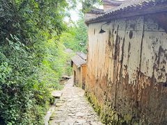 -杨家堂村