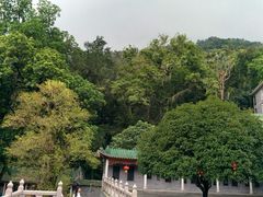 android_upload_pic-鼎湖山风景区