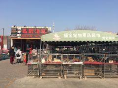 -中环花鸟鱼虫市场