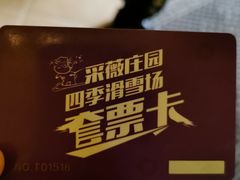 -采薇庄园四季滑雪场