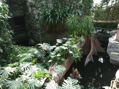 -北京植物园-展览温室