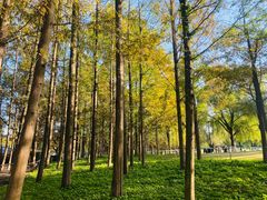 -浙江大学(紫金港校区)