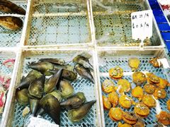 -霞涌市场海鲜摆卖区