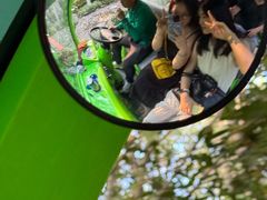 -合肥滨湖国家森林公园