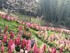 -沂蒙云瀑洞天景区
