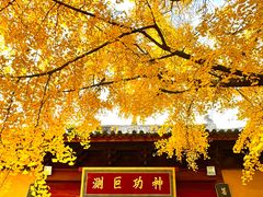 -上海青龙寺