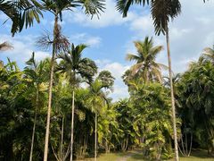 -中国科学院西双版纳热带植物园