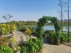 -昆山城市生态森林公园