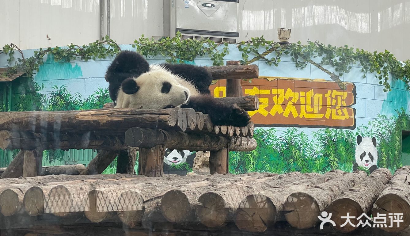 30块钱买一上午的快乐[调皮]