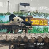 30块钱买一上午的快乐[调皮]