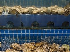 -鹿客臻鲜海鲜自助餐厅(永旺店)