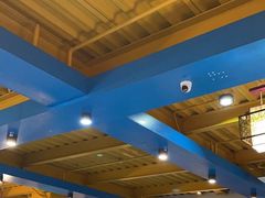 -马大胡子清真西北菜