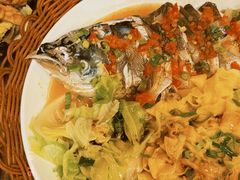 碟鱼头面-屯屯面(海尔路店)