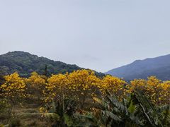-广州市石门国家森林公园