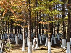 -艾溪湖湿地公园