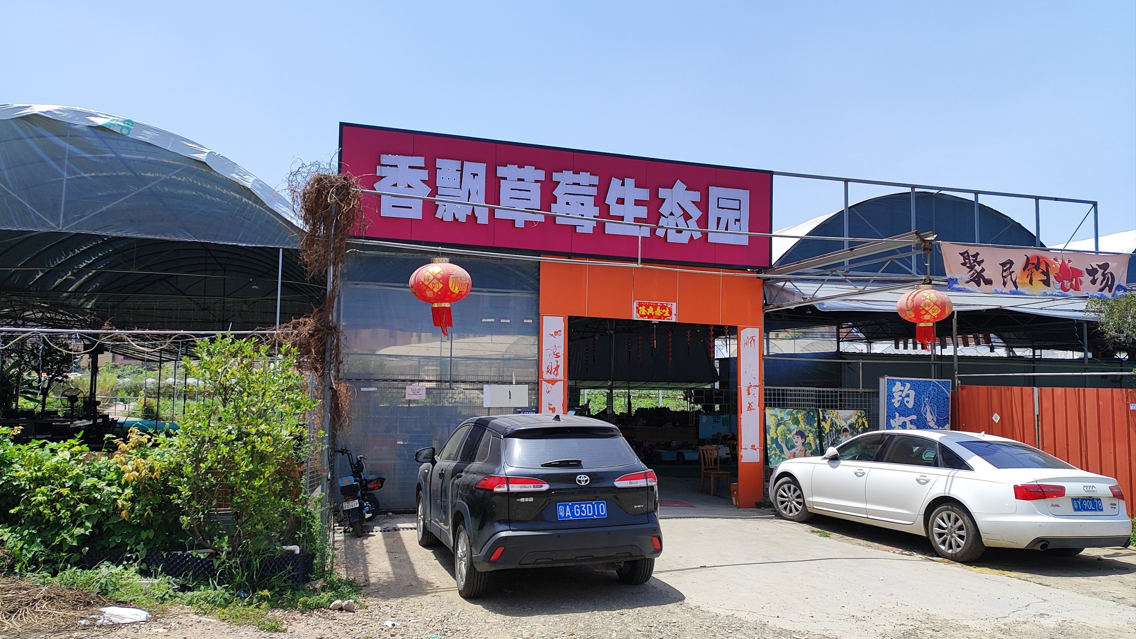 明媚果园采摘乐