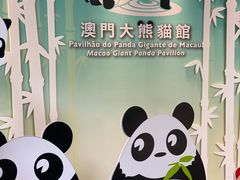 -石排湾郊野公园