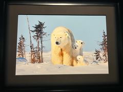 -罗红摄影艺术馆