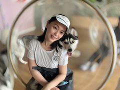 -Husky Go! 哈士奇体验馆·宠物咖啡厅狗咖