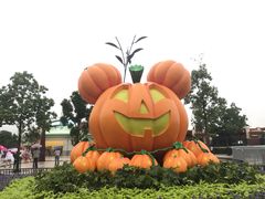 -迪士尼乐园停车场