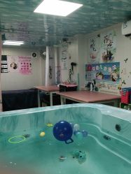 -小鸭先知婴儿游泳馆