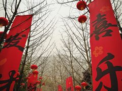 -华清宫景区