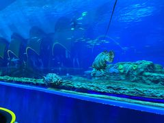 -珠海长隆海洋王国