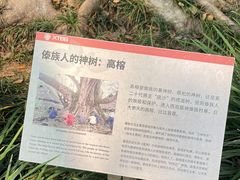 -中国科学院西双版纳热带植物园