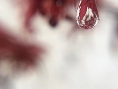 -黎阳老街