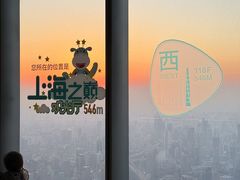 -上海中心大厦