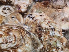 -老虎滩船说·海胆水饺·大连海鲜(老虎滩店)