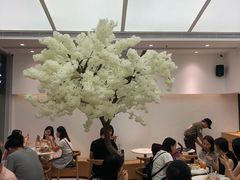 -艾薯夫妇Aysh(福田星河COCOPark店)