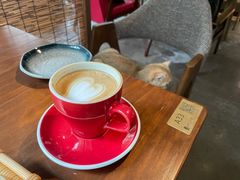 -咖法森林·咖啡  酒吧(天河店)