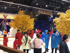 -宁波冰雪大世界(北仑区)