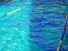 -威蒂斯国际健身游泳会所(东莞庄路店)