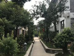 -老幺泉水鸡