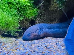 -上海海洋水族馆