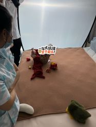 -安琪朵朵独栋花园月子中心