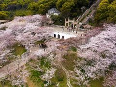 -苏州上方山国家森林公园