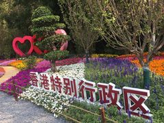 -深圳仙湖植物园