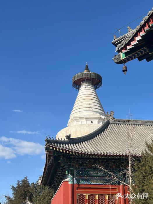 妙应寺白塔图片