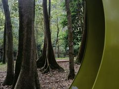 -广州市帽峰山景区
